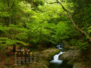 Картинка календари природа