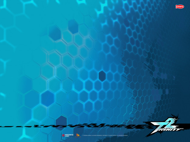 Обои картинки фото trinity, видео, игры