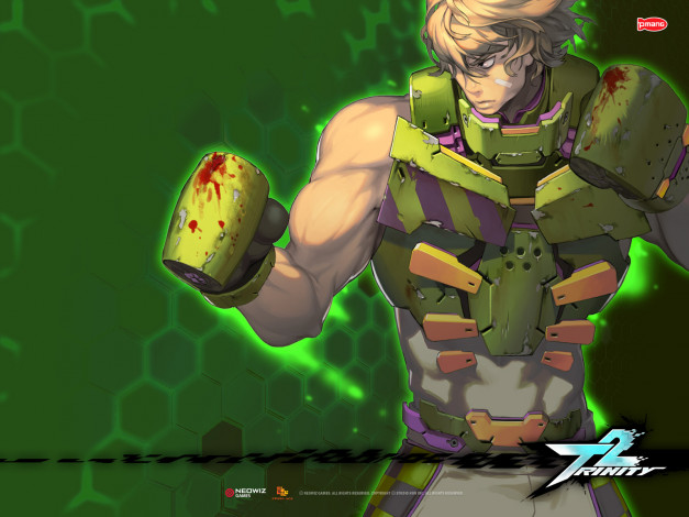 Обои картинки фото trinity, видео, игры