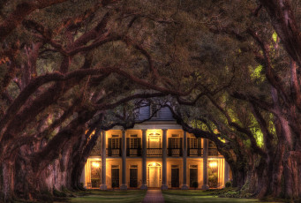 Картинка поместье луизианне сша города здания дома дубовая аллея усадьба