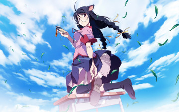 Картинка аниме bakemonogatari hanekawa+tsubasa девушка форма очки косички ушки кошка небо облака стол мобильный телефон