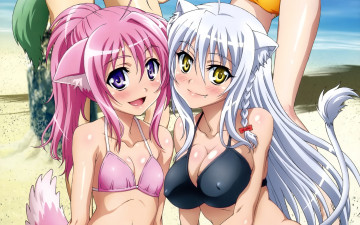 Картинка аниме dog days