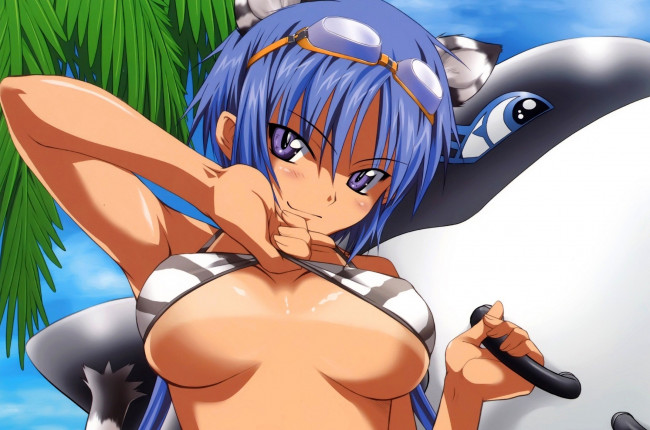 Обои картинки фото tsuyokiss, cool, sweet, аниме, *unknown, другое, shironeko, sanbou, девушка, пляж, пальмы, купальник, загар, неко, уши, очки, касатка