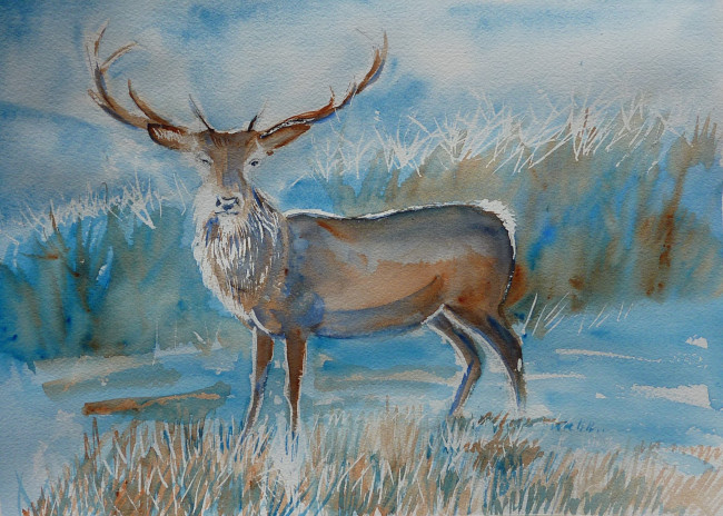 Обои картинки фото chrissy, marie, рисованные, олень