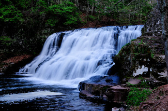Картинка природа водопады водопад деревья скалы пейзаж