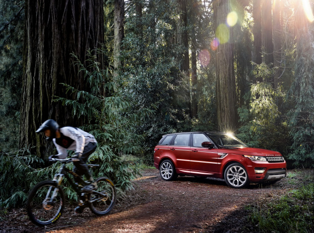 Обои картинки фото 2014, land, rover, range, sport, автомобили