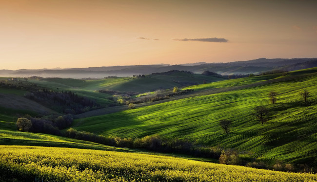 Обои картинки фото природа, поля, пейзаж, небо, поле