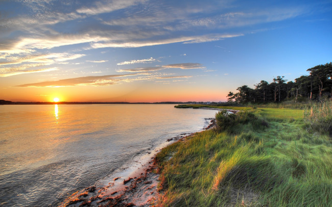 Обои картинки фото природа, восходы, закаты, трава, закат, лес, озеро