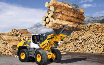 Картинка техника автопогрузчики дерево автопогрузчик