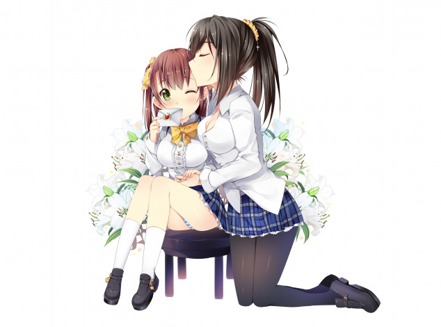 Обои картинки фото аниме, unknown,  другое, девушки