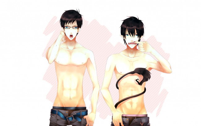 Обои картинки фото аниме, ao no exorcist, юкио, рин