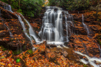 Картинка природа водопады водопад река лес