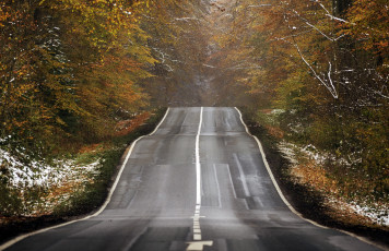 Картинка природа дороги дорога осень деревья