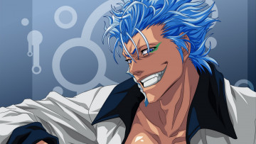 Картинка аниме bleach гримджоу