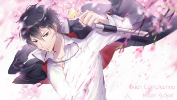 Картинка аниме katekyo+hitman+reborn хибари кёя