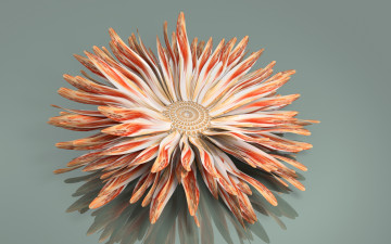 Картинка 3д+графика цветы+ flowers лепестки фон