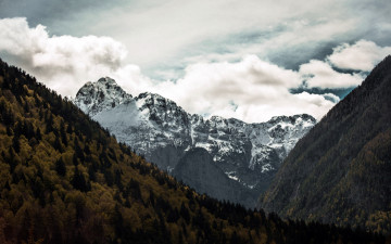 Картинка природа горы лес вершина облака