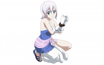 Картинка аниме fairy+tail лисанна