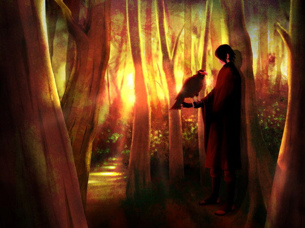 Обои картинки фото аниме, naruto, саске