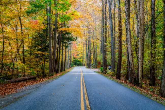 Обои картинки фото природа, дороги, шоссе