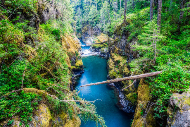 Обои картинки фото природа, реки, озера, лес, река