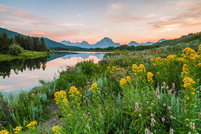 Обои картинки фото природа, реки, озера, река, лес