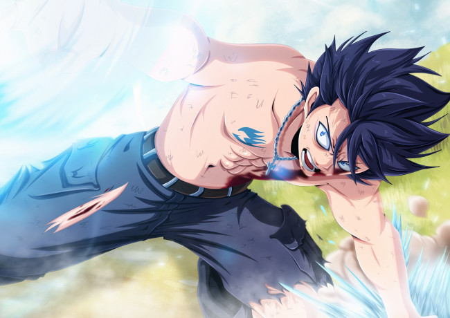 Обои картинки фото аниме, fairy tail, хвост, феи