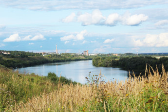 Картинка природа реки озера деревья трава река