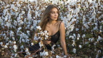 Картинка девушка девушки -unsort+ брюнетки темноволосые модель