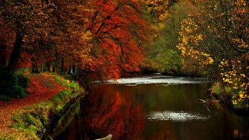 Картинка природа реки озера осень