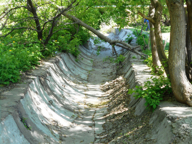 Обои картинки фото природа, лес, деревья