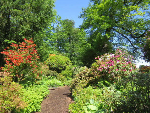 Обои картинки фото природа, парк