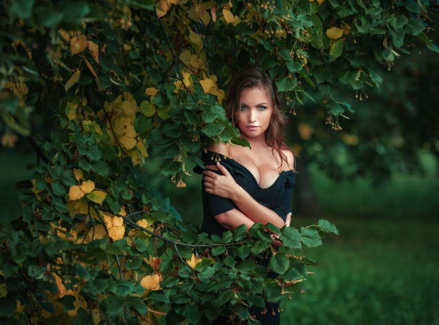Обои картинки фото девушка, девушки, -unsort , брюнетки, темноволосые, модель, зеленая, рубашка, декольте, зеленые, глаза, на, улице, деревья, ветка, листья, природа, смотрит, зрителя, nicole, young