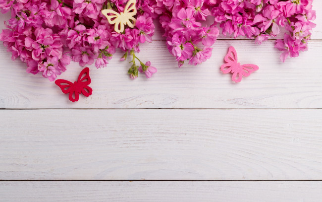 Обои картинки фото цветы, сакура,  вишня, бабочки