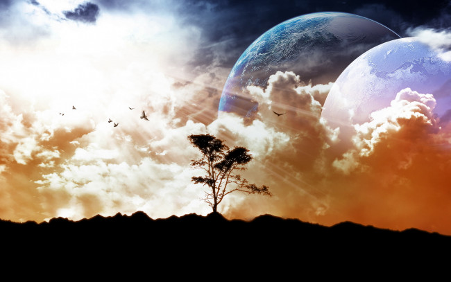Обои картинки фото разное, компьютерный дизайн, дерево, птицы, планеты, лучи, тучи, небо
