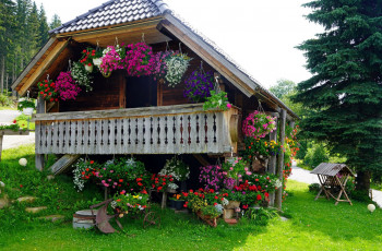 Картинка города -+здания +дома лето дом цветы