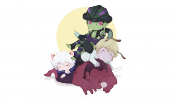 Картинка аниме hunter+x+hunter охотник х