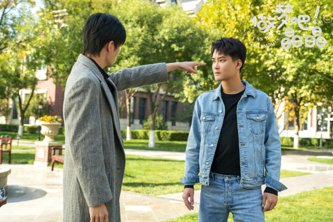 Обои картинки фото кино фильмы, 1 vs 100 dreamboys, dreamboys