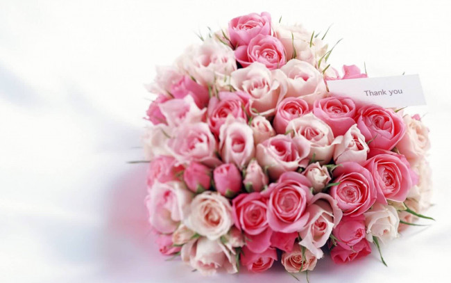 Обои картинки фото цветы, розы, букет