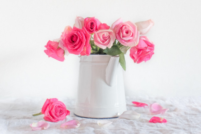 Обои картинки фото цветы, розы, лейка, букет, лепестки