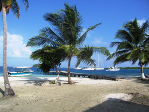 Картинка природа