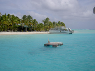 Картинка природа