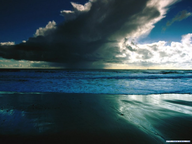 Обои картинки фото 