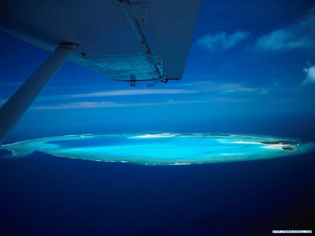 Обои картинки фото 