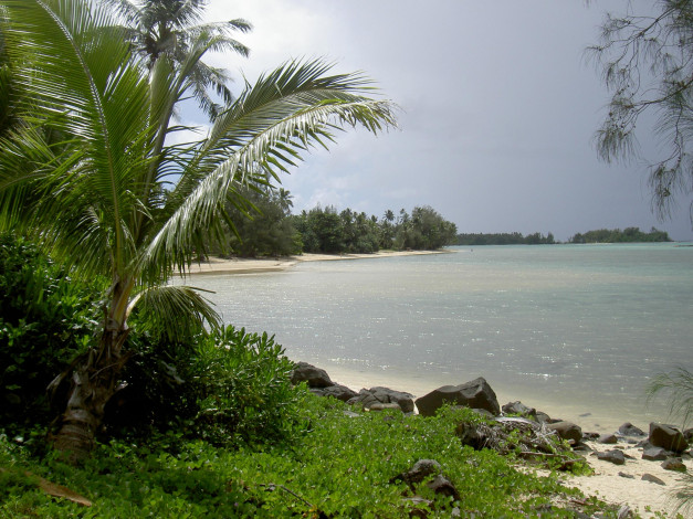 Обои картинки фото природа