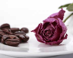 Картинка еда кофе кофейные зёрна