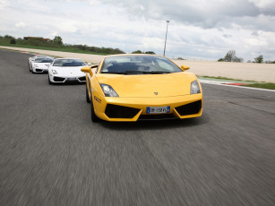 Картинка club of lamborghini автомобили