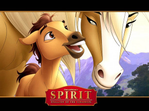 обоя мультфильмы, spirit, stallion, of, the, cimarron