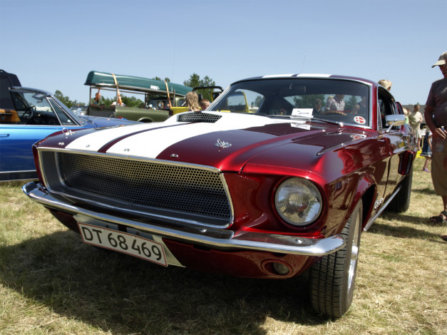 Обои картинки фото автомобили, ford