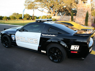 Картинка автомобили разные вместе